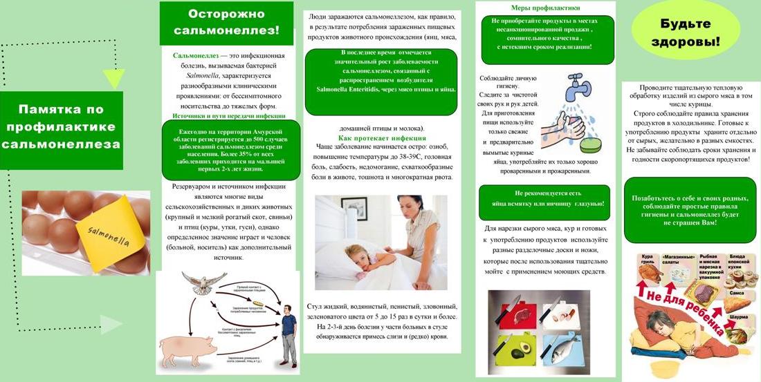 Как уберечь себя от сальмонеллеза